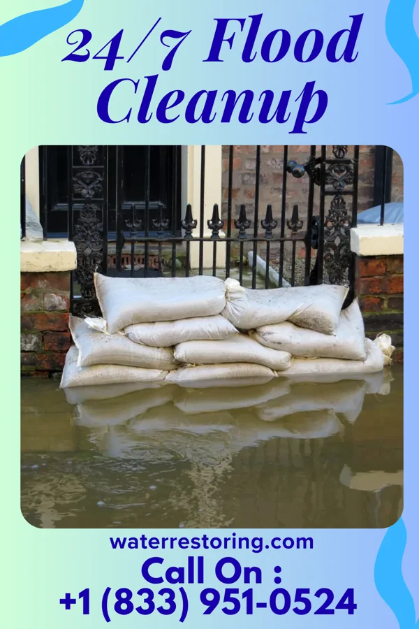 24/7 Flood Cleanup in Coulterville, IL